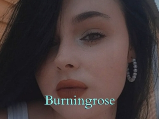 Burningrose