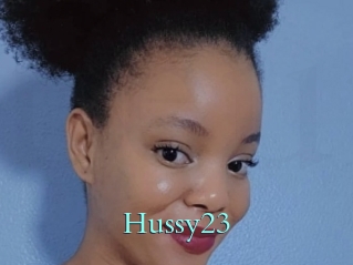 Hussy23