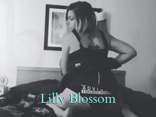 Lilly_Blossom