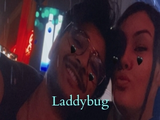 Laddybug