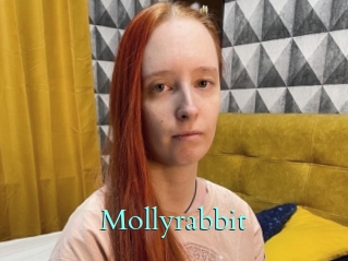 Mollyrabbit