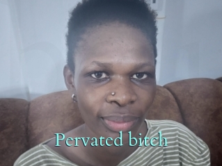 Pervated_bitch