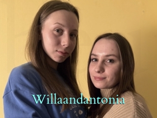 Willaandantonia